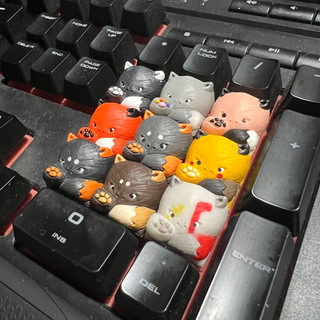 Nút bàn phím cơ keycap Rui keysune