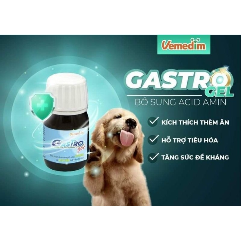 Gastro gel bổ sung vitamin và acid amin thiết yếu, kích thích thèm ăn cho chó Vemedim chai 30ml
