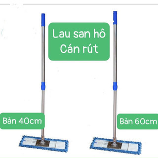 Cây lau ẩm san hô