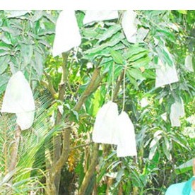  10 CÁI Túi bọc XOÀI CÁT BỌC BƯỞI size 22x30cm 30x30cm - Túi bao trái cây Ánh Dương bằng vải không dệt PE dùng 2-3 mùa 