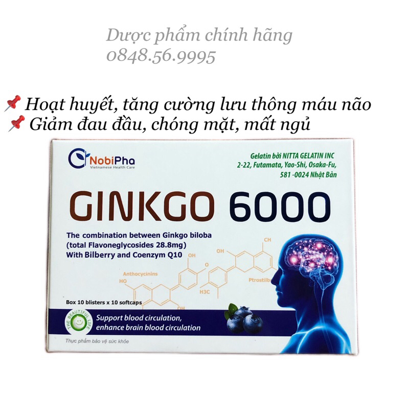Hoạt huyết dưỡng não Ginkgo 6000- sự kết hợp giữa Ginkgo biloba với Bilberry và Coenzym Q10