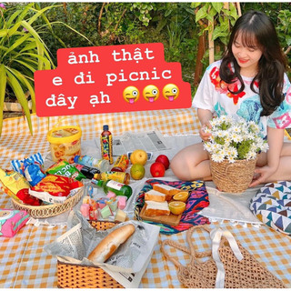 Thảm chiếu dải picnic