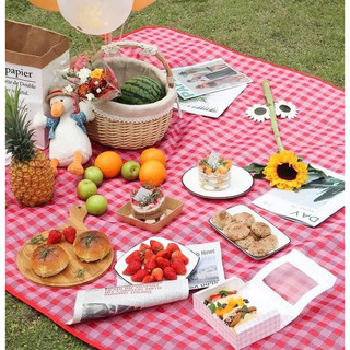 Thảm chiếu dải picnic