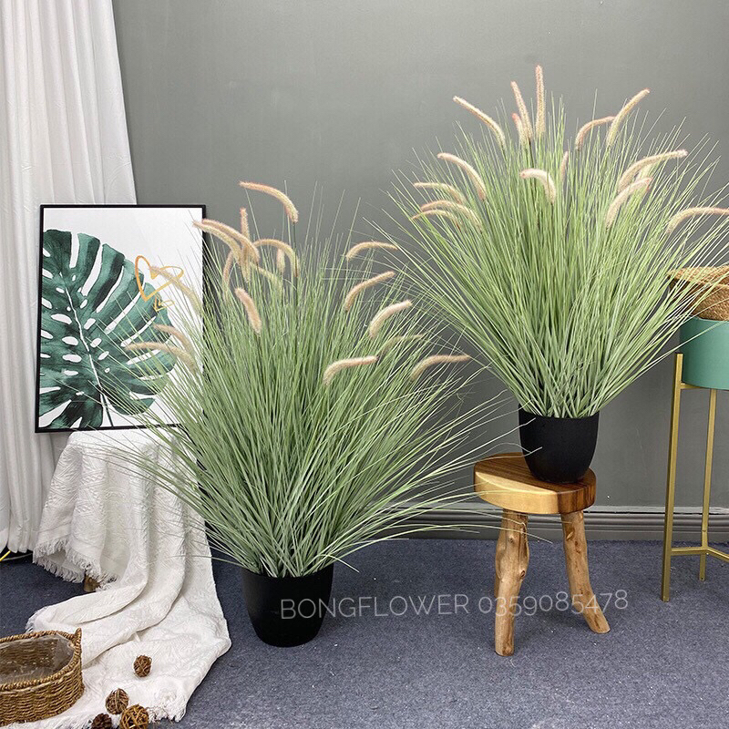 Hoa cỏ lau giả - chậu bông lau giả cao 90cm kèm cả chậu như hình