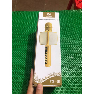Loa Mic Ys-91