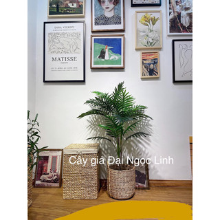 cây cau giả 1,2m