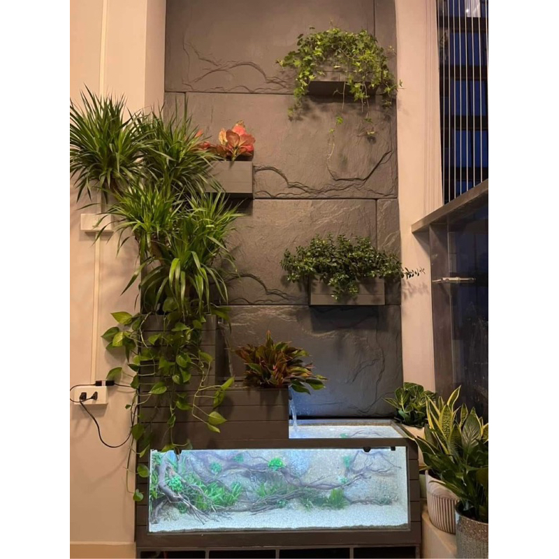 Bể cá tiểu cảnh làm theo kích thước yêu cầu.
