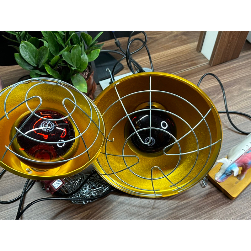 Chao đèn hồng ngoại 2 chế độ tích hợp công tắc và dây dài 2m - Chao đèn nhôm bảo vệ bóng sưởi