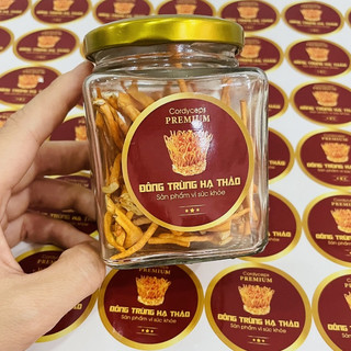 TEM DÁN ĐÔNG TRÙNG HẠ THẢO