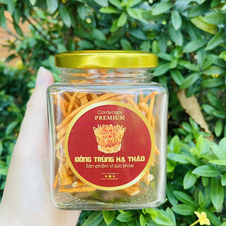 TEM DÁN ĐÔNG TRÙNG HẠ THẢO