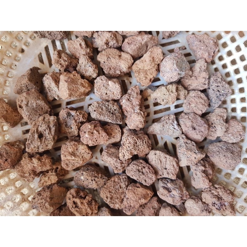 vật liệu lọc nham thạch to bằng chân cái bao 1kg + tặng thêm kg đá nham thạch