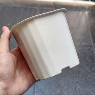 20 chậu nhựa trắng vuông 11x10