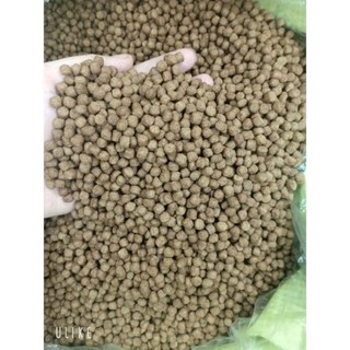 cám cá koi cá cảnh new 5kg