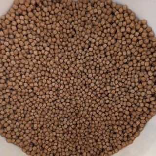 cám cá koi cá cảnh new 5kg