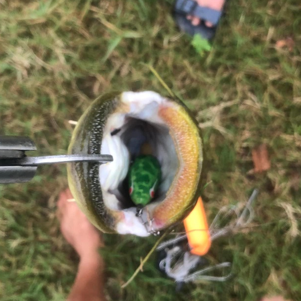 Mồi chuyên câu nheo. Nhái hơi TNT CF45S hàng chính hãng.