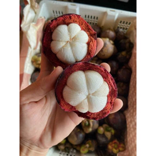 măng cụt thái lan 1kí