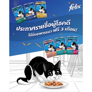 Pate Felix Purina 80gr dành cho mèo con và mèo trưởng thành _ HÀNG CÓ TEM CÔNG TY