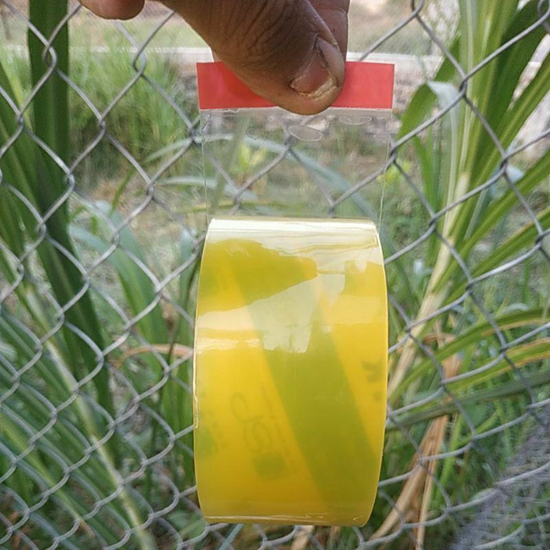 Băng keo trong Hàn Quốc HNK 175gram