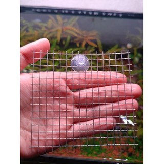 Vỉ inox gắn rêu thủy sinh kích thước 10x10 cm