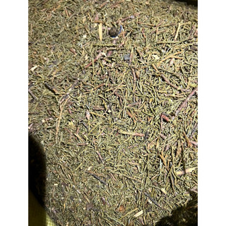 Bột bách hương thô Tây Tạng