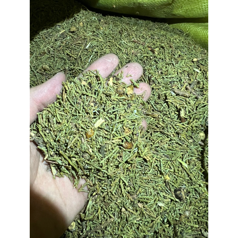 Bột bách hương thô Tây Tạng