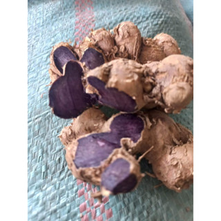 Gừng Đen (Ngải Đen) tươi 500g