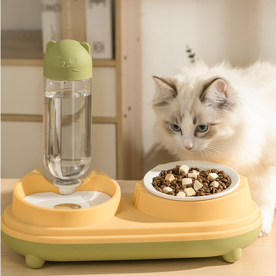 Bát ăn kèm bình đựng nước màu pastel cute dành cho pet, bát nghiêng 16° giúp chống gù, cong vẹo cột sống cho thú cưng