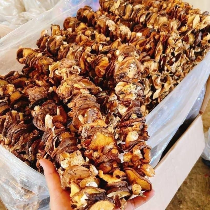 Nấm Hương rừng sấy khô Đặc sản Điện Biên - Loại ngon