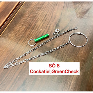 1 Bộ Combo Xích Chân Cho Vẹt ( Ko Kèm Còi )