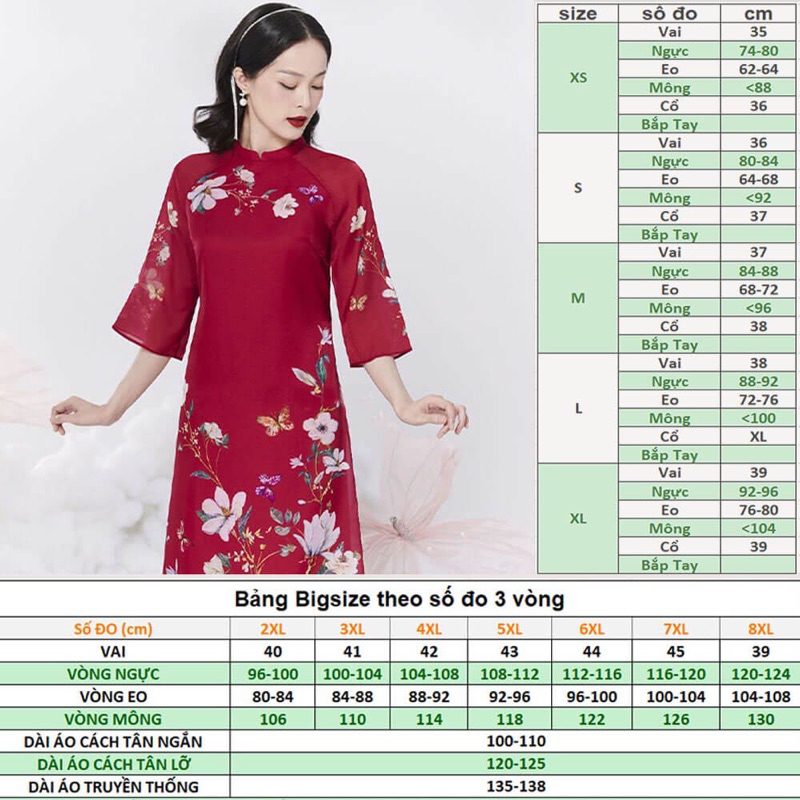 Áo Dài Von In Hình Cách Tân Nữ TH12