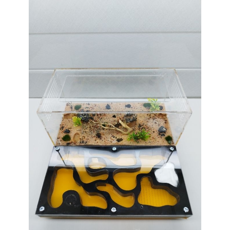 N03 mica -Tank mica nuôi kiến - Hộp mica nuôi kiến - Nuôi Acant/Messoer/Carebara/Solen/Pheidole
