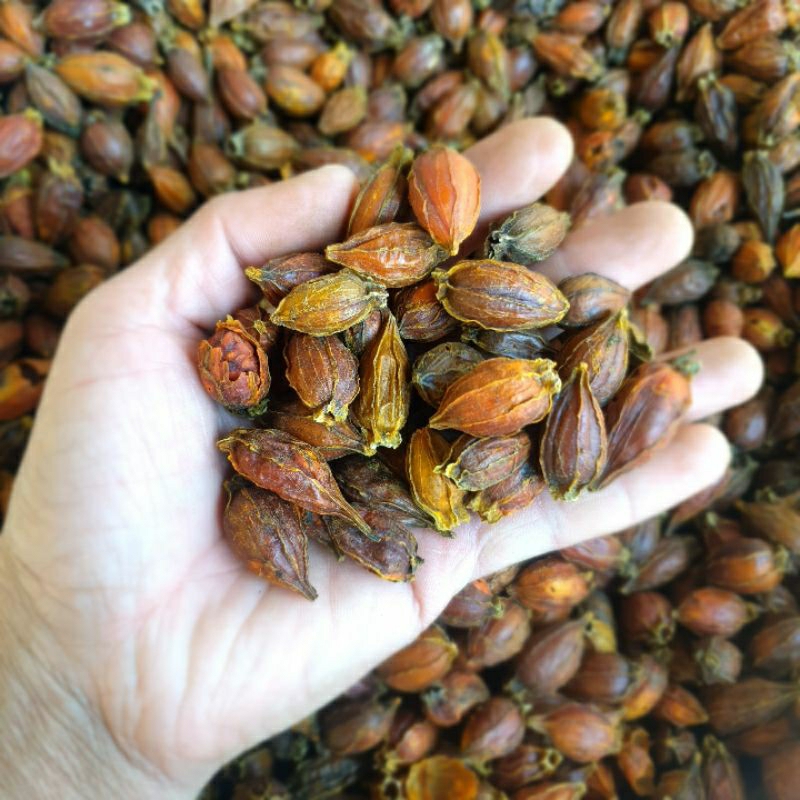 Quả dành dành  1kg