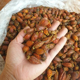 dành dành ( chi tử) 1kg