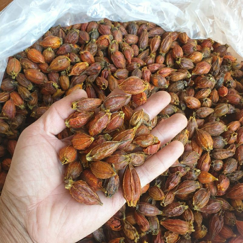 Quả dành dành  1kg