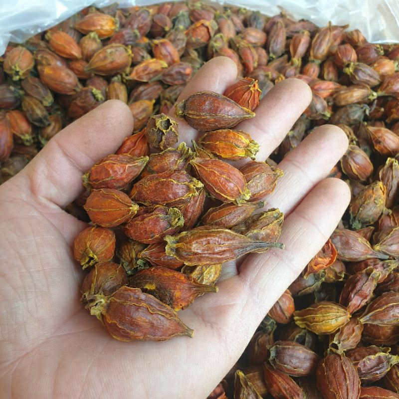 Quả dành dành  1kg