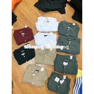 Áo thun polo nam Lefties | Hàng chuẩn auth