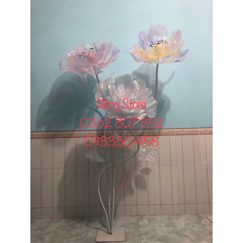 Hoa khổng lồ, Hoa trang trí, Hoa voan khổng lồ
