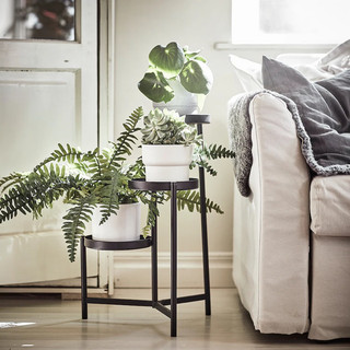 Kệ để cây 58cm olivblad ikea chính hãng
