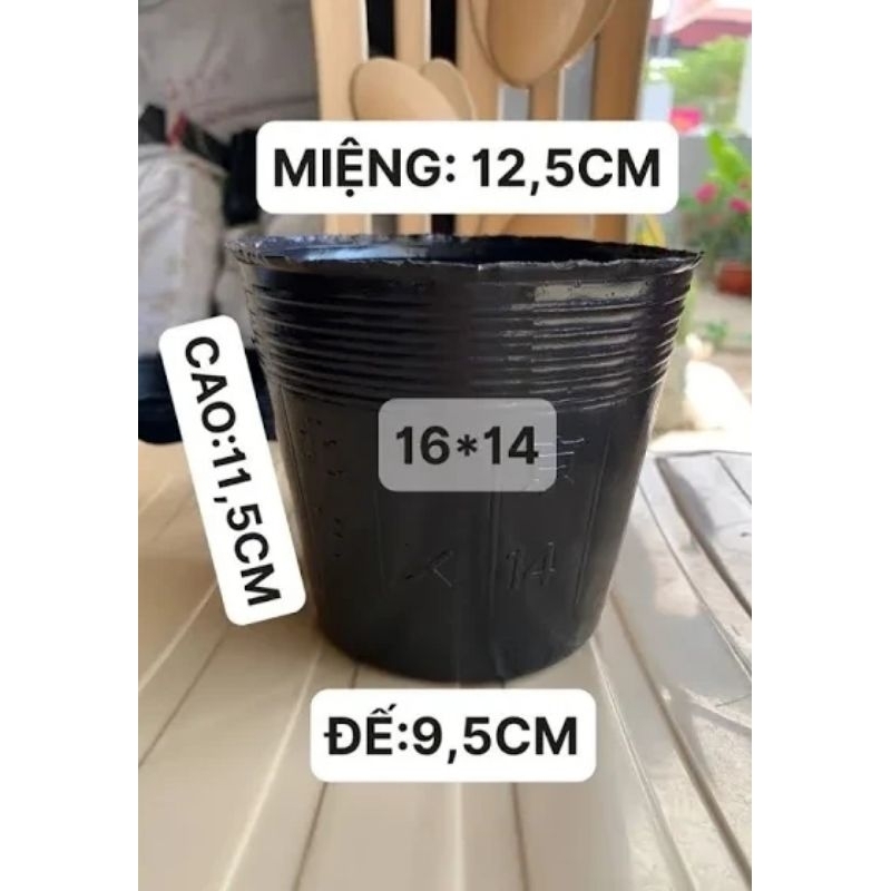 Bầu ươm cây 16*14