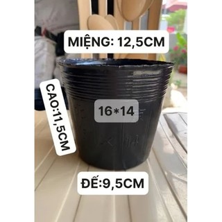 Bầu ươm cây 16*14