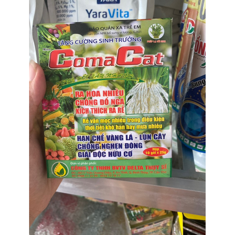 Comcat tăng cường sinh trưởng
