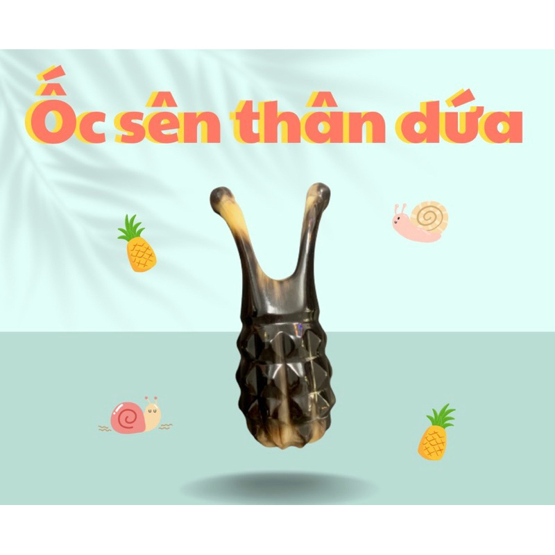 Ốc sên thân dứa massage bằng sừng, dụng cụ ấn huyệt điện chuẩn khuyên người tiêu dùng