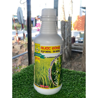 Rước đòng, mập đòng, to đòng, chống nghẹn đòng chai 500ml cty Quang Nông