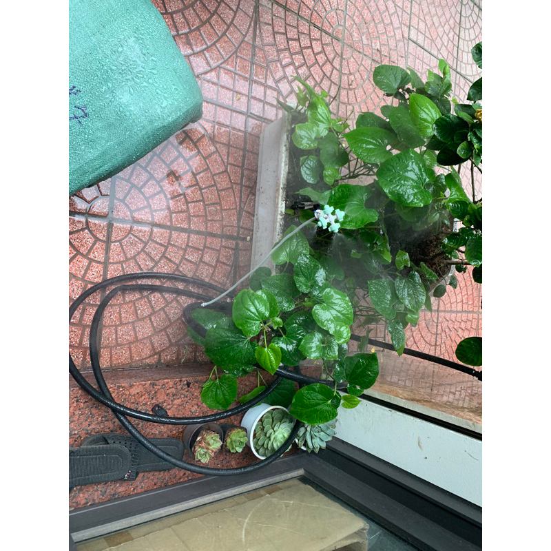 Béc phun sương 4 hướng Coolnet nhiều tùy chọn kết nối, béc phun sương tưới lan, tưới rau, cây cảnh , làm mát