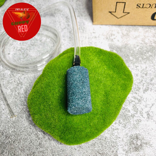 Cục sủi hình trụ - đá sủi siêu mịn cho bể cá