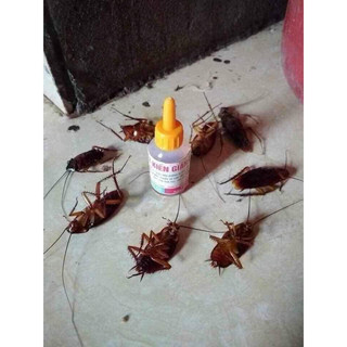 THUỐC DIỆT KIẾN GIÁN DIỆT TẬN GỐC ❗️❗️❗️❗️❗️❗️
