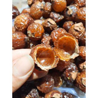 Bồ hòn tách hạt 1kg (vụ mới,loại nhiều mật)