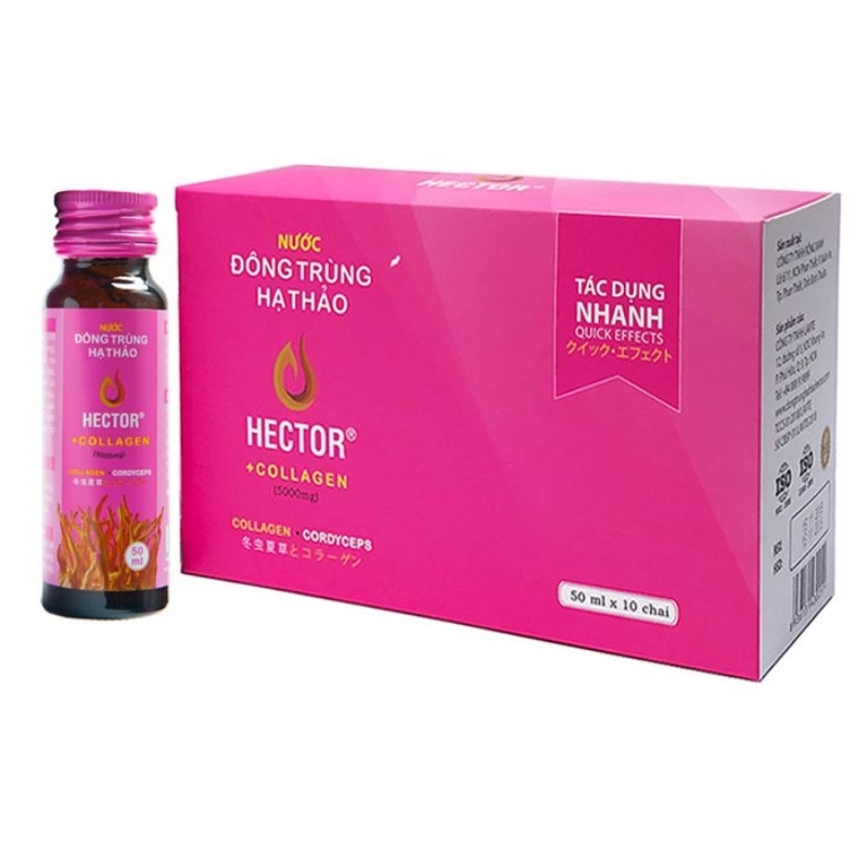 (CHÍNH HÃNG) Đông Trùng Hạ Thảo Hector Collagen (10 chai/hộp)