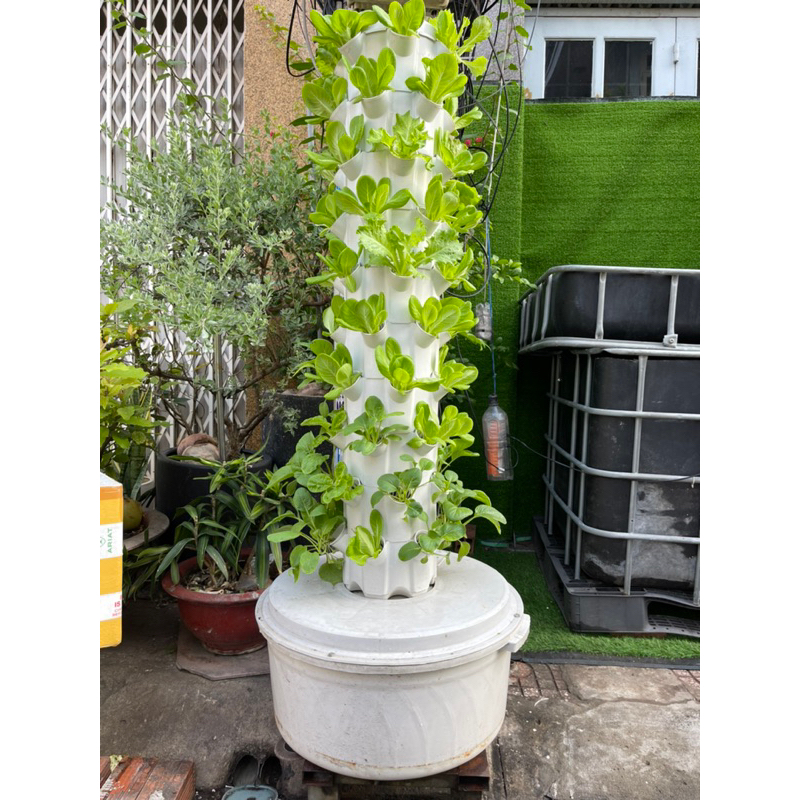 Trụ Đơn Trồng Rau Thuỷ Canh 60 Hốc Trồng ( Trụ , Rọ , Bơm )