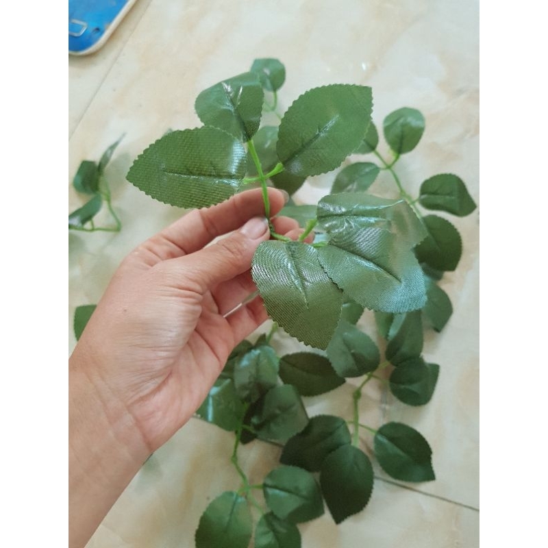 10 nhánh lá hồng đôi